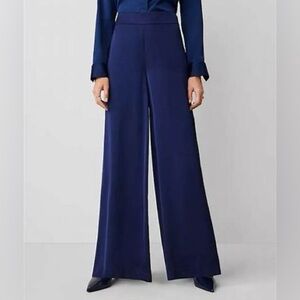 Ann Taylor The Dramatic Wide-Leg Pant-freshly dry cleaned !